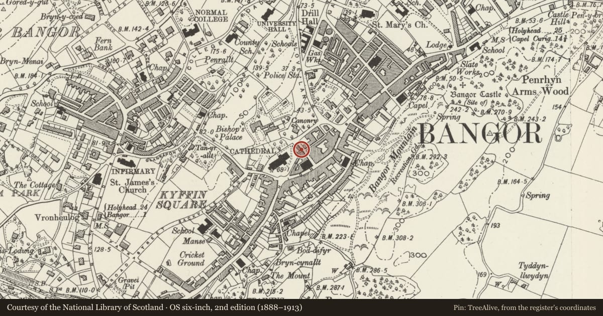 Ordnance Survey six-inch map, 2nd edition (1888–1913) covering the location of The Old Vicarage, Bangor, Gwynedd, with a pin at the register's coordinates