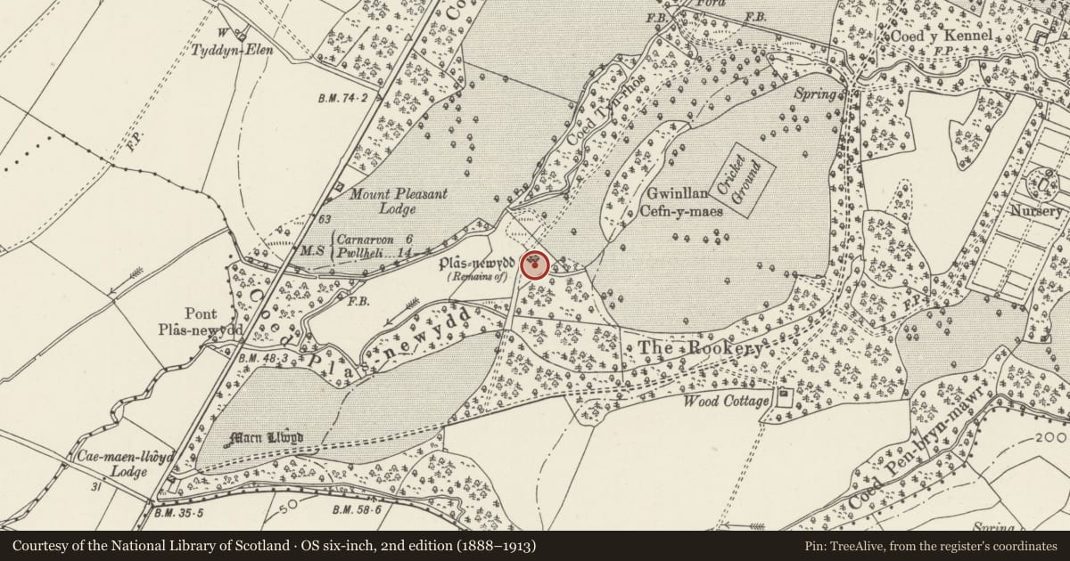 Ordnance Survey six-inch map, 2nd edition (1888–1913) covering the location of Well in garden wall at Plas Newydd, Llandwrog, Gwynedd, with a pin at the register's coordinates