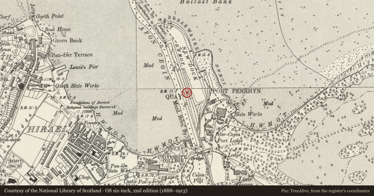 Ordnance Survey six-inch map, 2nd edition (1888–1913) covering the location of Former Communal Lavatory, Llandygai, Gwynedd, with a pin at the register's coordinates