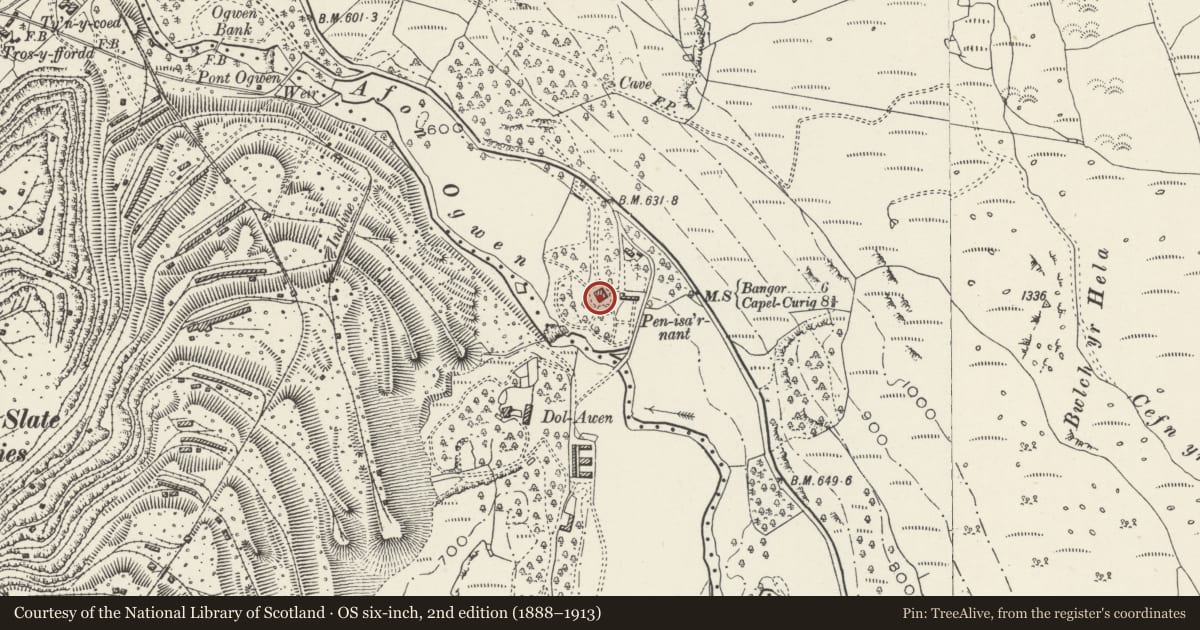 Ordnance Survey six-inch map, 2nd edition (1888–1913) covering the location of Plas Penisarnant, Llanllechid, Gwynedd, with a pin at the register's coordinates