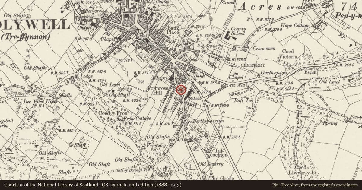 Ordnance Survey six-inch map, 2nd edition (1888–1913) covering the location of 21, Holywell, Flintshire, with a pin at the register's coordinates