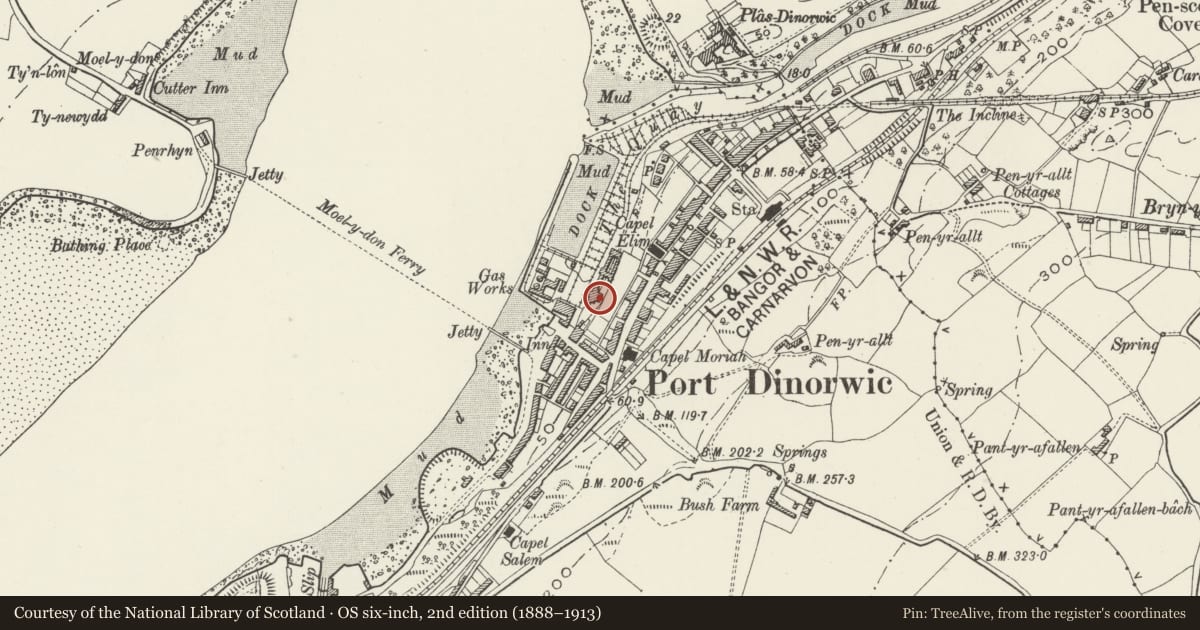 Ordnance Survey six-inch map, 2nd edition (1888–1913) covering the location of Chimney Stack at South Dock, Y Felinheli, Gwynedd, with a pin at the register's coordinates
