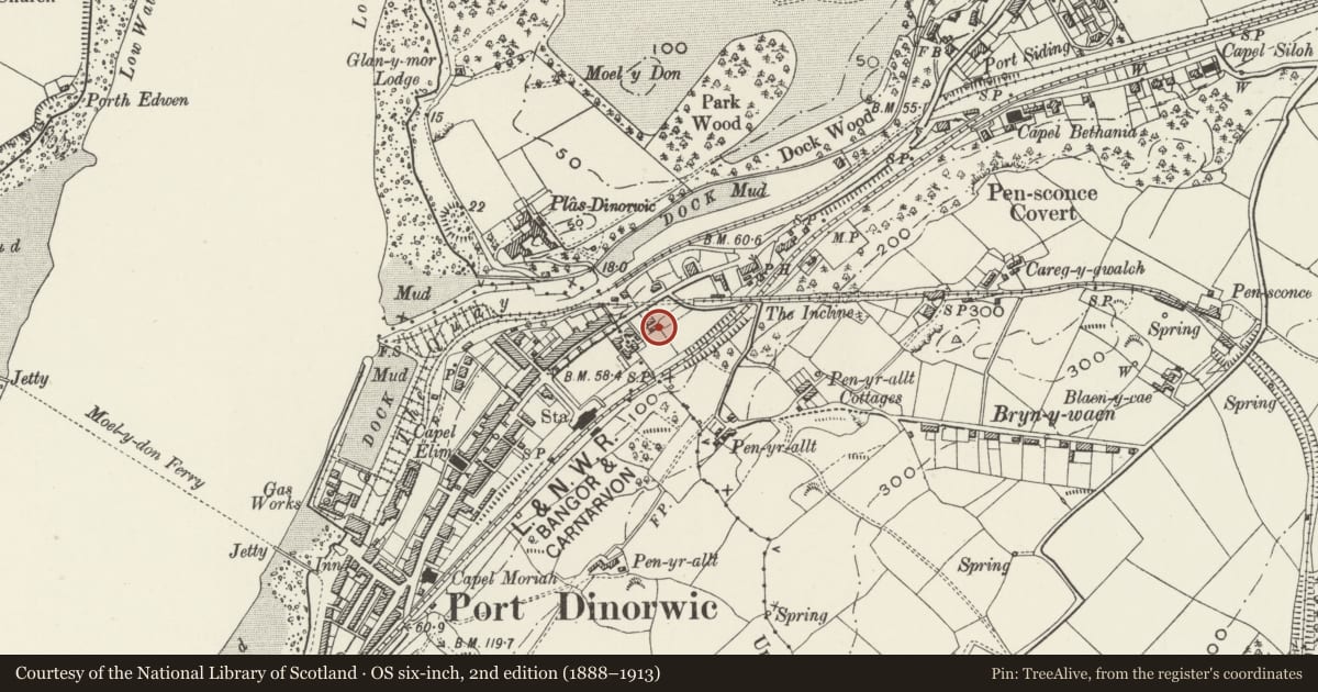 Ordnance Survey six-inch map, 2nd edition (1888–1913) covering the location of Bodarborth, Y Felinheli, Gwynedd, with a pin at the register's coordinates