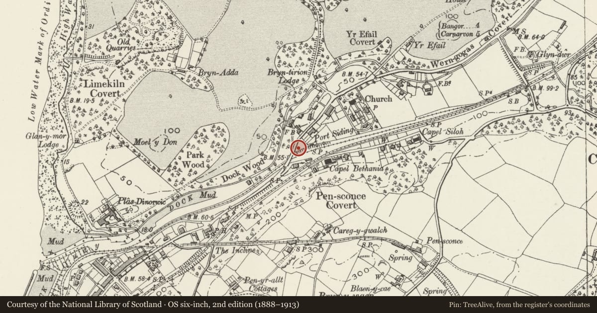Ordnance Survey six-inch map, 2nd edition (1888–1913) covering the location of Telephone Call-box at N end of bridge over disused railway (01248 670285), Y Felinheli, Gwynedd, with a pin at the register's coordinates