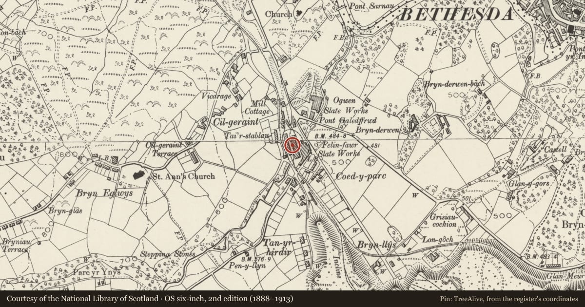 Ordnance Survey six-inch map, 2nd edition (1888–1913) covering the location of Water Wheel House between slab mills at Felin Fawr Slate Works, Llandygai, Gwynedd, with a pin at the register's coordinates