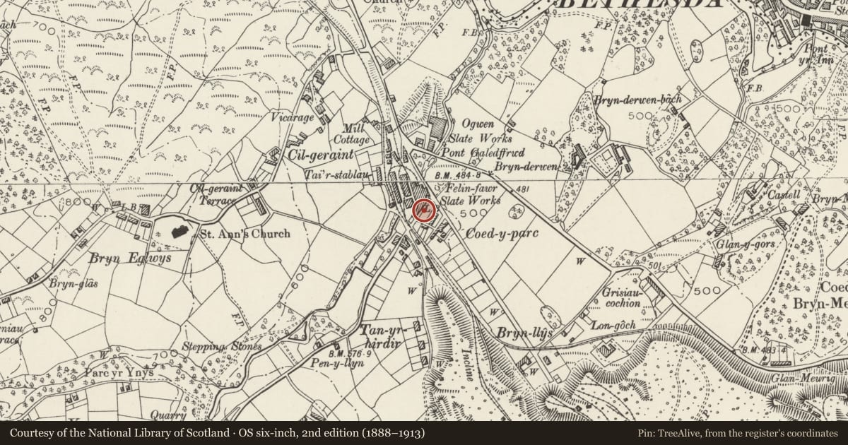 Ordnance Survey six-inch map, 2nd edition (1888–1913) covering the location of Fitting and Repair Shop at Felin Fawr Slate Works, Llandygai, Gwynedd, with a pin at the register's coordinates