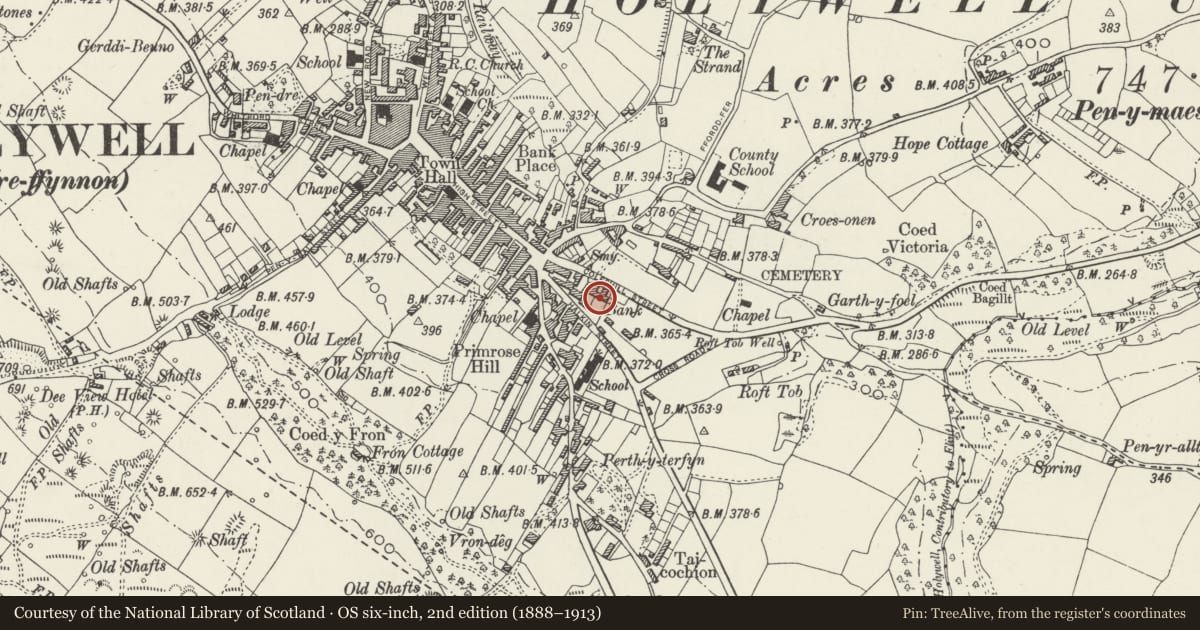 Ordnance Survey six-inch map, 2nd edition (1888–1913) covering the location of Maes-Y-Dre, Holywell, Flintshire, with a pin at the register's coordinates