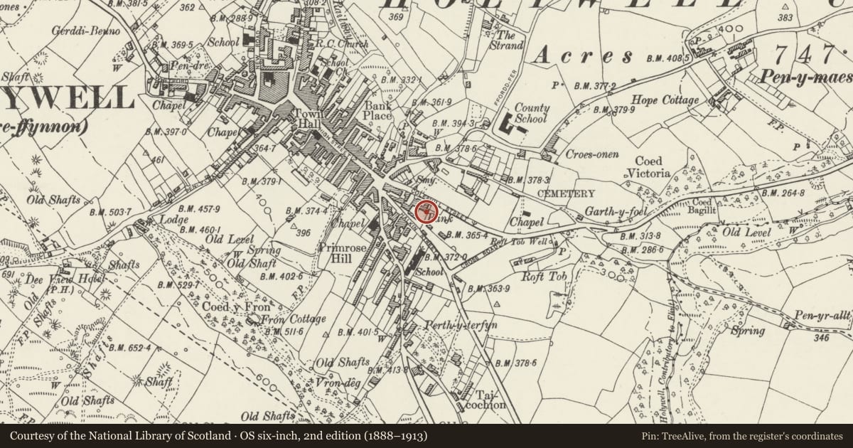 Ordnance Survey six-inch map, 2nd edition (1888–1913) covering the location of Old Bank House, Holywell, Flintshire, with a pin at the register's coordinates