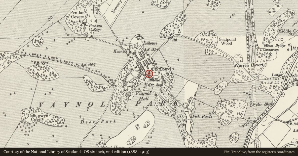 Ordnance Survey six-inch map, 2nd edition (1888–1913) covering the location of Stone bench seat on W side of Terraced Garden at Vaynol Old Hall, Pentir, Gwynedd, with a pin at the register's coordinates