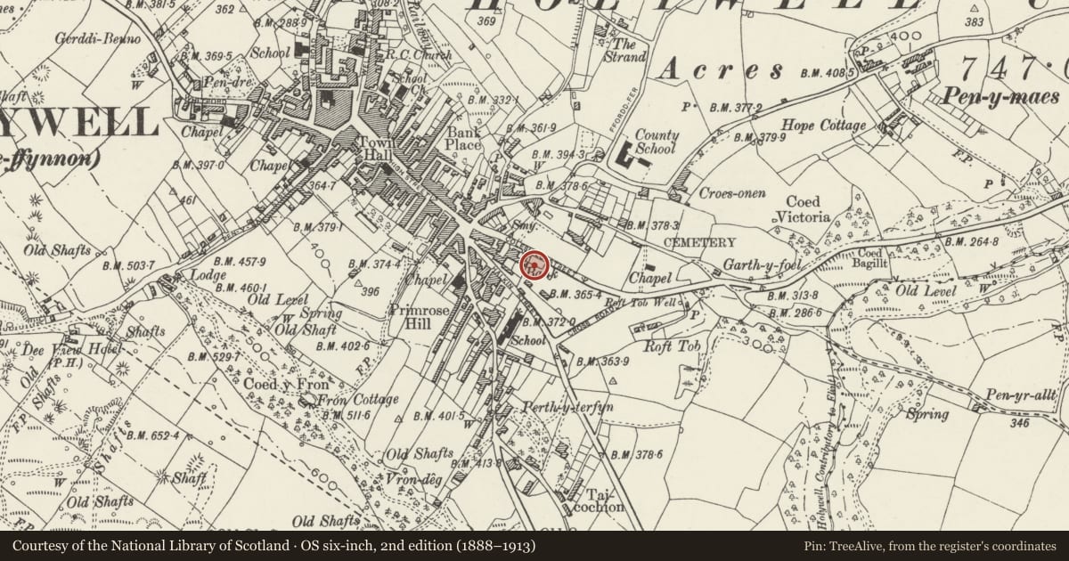 Ordnance Survey six-inch map, 2nd edition (1888–1913) covering the location of Masonic Hall, Holywell, Flintshire, with a pin at the register's coordinates