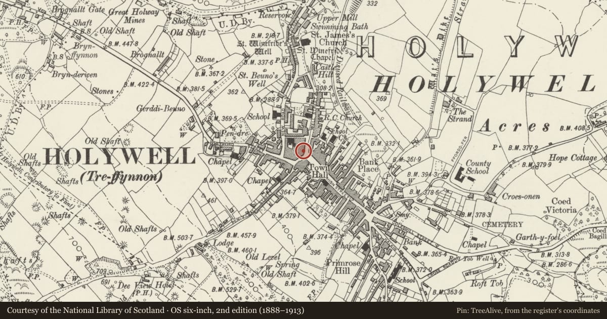 Ordnance Survey six-inch map, 2nd edition (1888–1913) covering the location of 1, Holywell, Flintshire, with a pin at the register's coordinates