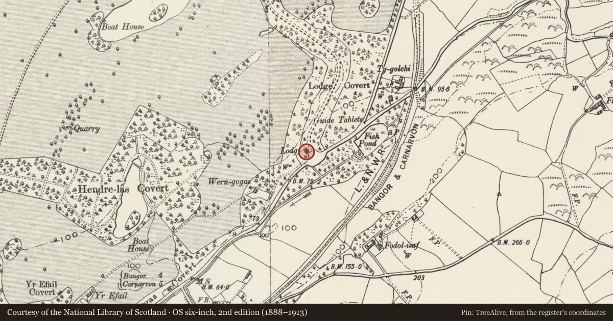 Ordnance Survey six-inch map, 2nd edition (1888–1913) covering the location of Grand Lodge at Main Entrance to Vaynol Park, Pentir, Gwynedd, with a pin at the register's coordinates