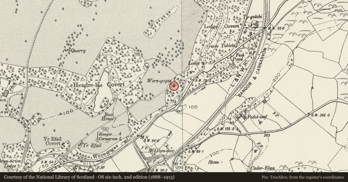 Ordnance Survey six-inch map, 2nd edition (1888–1913) covering the location of Wern Gogas, Pentir, Gwynedd, with a pin at the register's coordinates