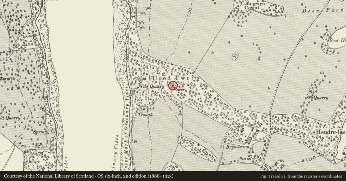 Ordnance Survey six-inch map, 2nd edition (1888–1913) covering the location of Folly tower at Coed Twr, Pentir, Gwynedd, with a pin at the register's coordinates