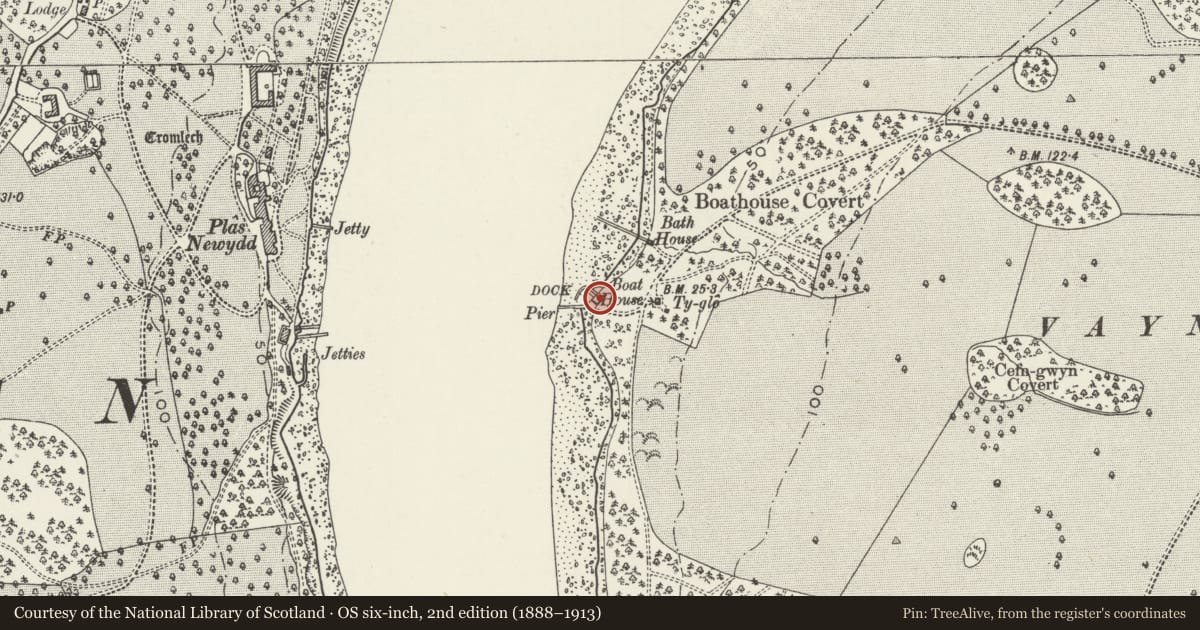 Ordnance Survey six-inch map, 2nd edition (1888–1913) covering the location of Dock at NW edge of Vaynol Park, (including the boathouse), Pentir, Gwynedd, with a pin at the register's coordinates