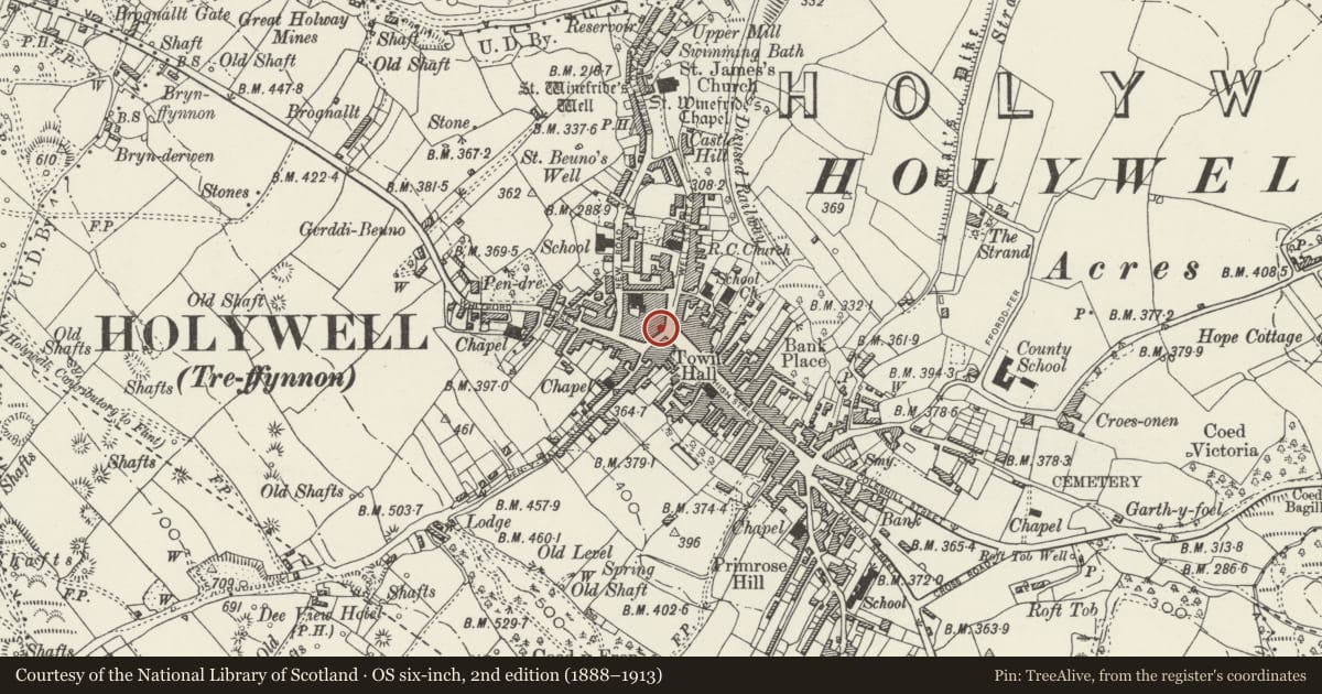 Ordnance Survey six-inch map, 2nd edition (1888–1913) covering the location of 2A, Holywell, Flintshire, with a pin at the register's coordinates