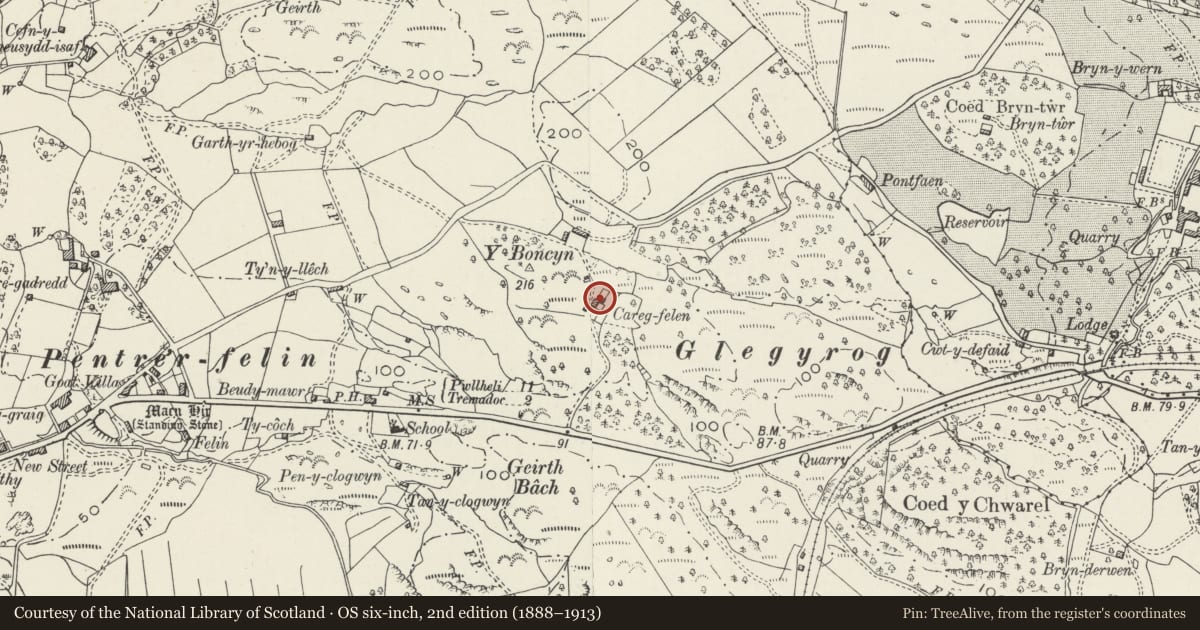 Ordnance Survey six-inch map, 2nd edition (1888–1913) covering the location of Carreg-felin, Dolbenmaen, Gwynedd, with a pin at the register's coordinates