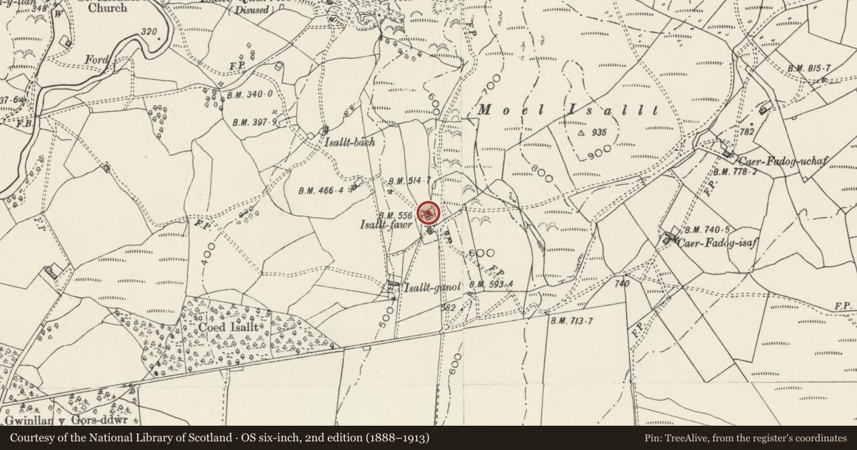 Ordnance Survey six-inch map, 2nd edition (1888–1913) covering the location of Isallt-fawr, Dolbenmaen, Gwynedd, with a pin at the register's coordinates