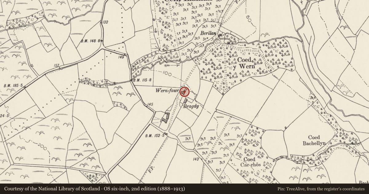 Ordnance Survey six-inch map, 2nd edition (1888–1913) covering the location of Wern Fawr, Llanbedrog, Gwynedd, with a pin at the register's coordinates