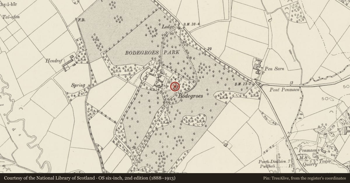 Ordnance Survey six-inch map, 2nd edition (1888–1913) covering the location of Plas Bodegroes, Llannor, Gwynedd, with a pin at the register's coordinates