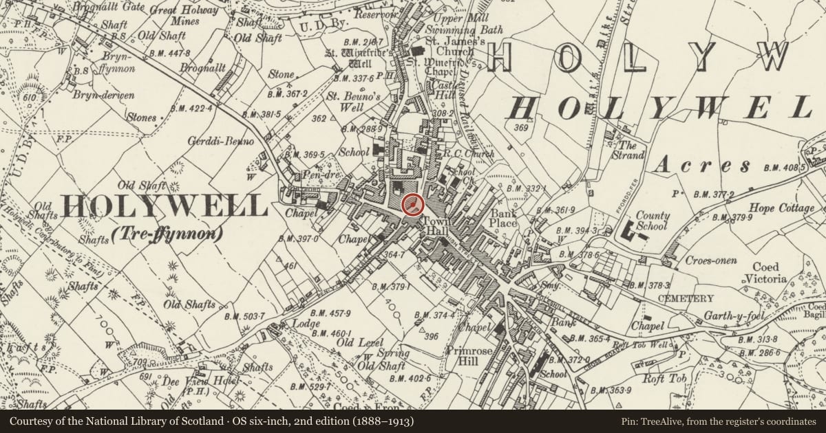 Ordnance Survey six-inch map, 2nd edition (1888–1913) covering the location of 2, Holywell, Flintshire, with a pin at the register's coordinates