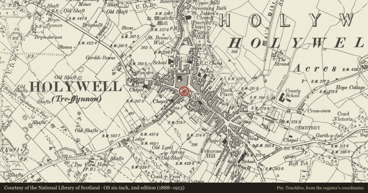 Ordnance Survey six-inch map, 2nd edition (1888–1913) covering the location of 5, Holywell, Flintshire, with a pin at the register's coordinates