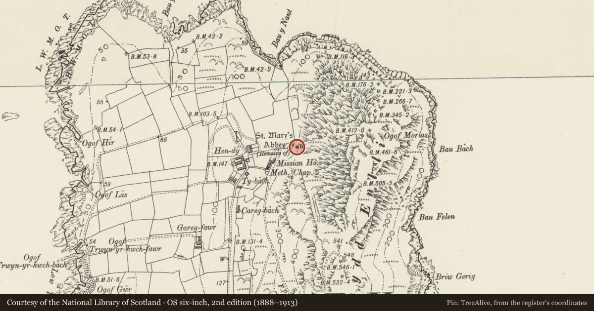 Ordnance Survey six-inch map, 2nd edition (1888–1913) covering the location of Well above Ffynon Corn, Aberdaron, Gwynedd, with a pin at the register's coordinates