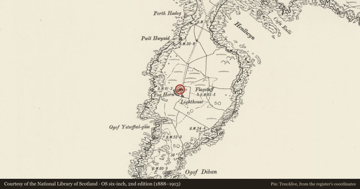 Ordnance Survey six-inch map, 2nd edition (1888–1913) covering the location of Bardsey Island Lighthouse with attached keepers' house, Aberdaron, Gwynedd, with a pin at the register's coordinates