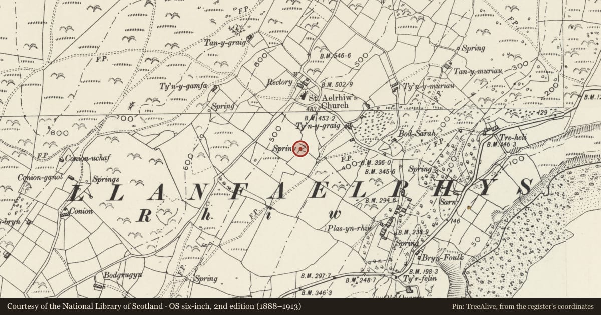 Ordnance Survey six-inch map, 2nd edition (1888–1913) covering the location of Ffynnon Aelrhiw, Aberdaron, Gwynedd, with a pin at the register's coordinates