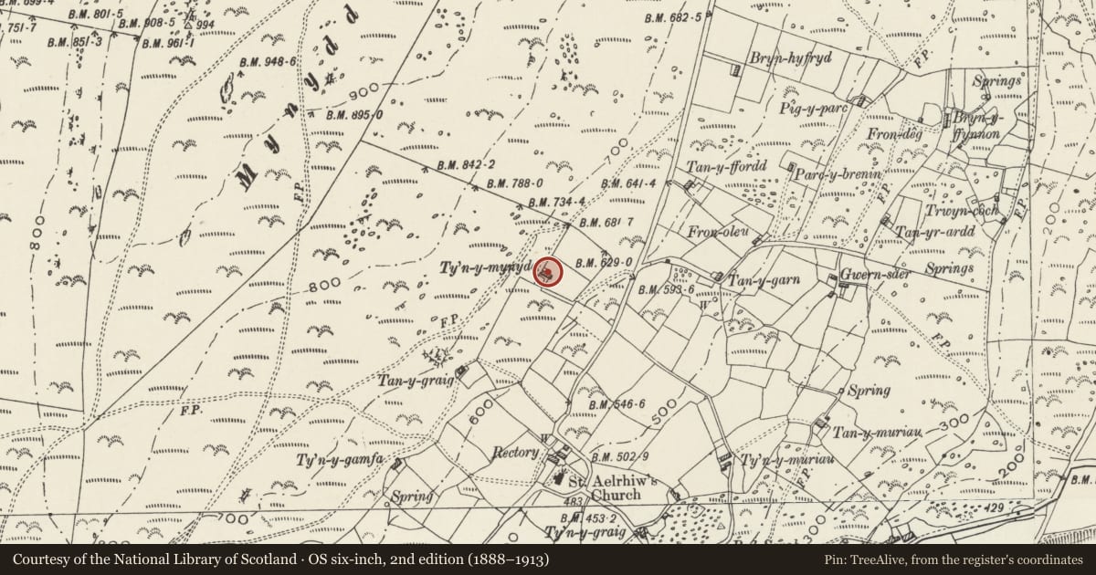 Ordnance Survey six-inch map, 2nd edition (1888–1913) covering the location of Ty'n-y-mynydd, Aberdaron, Gwynedd, with a pin at the register's coordinates
