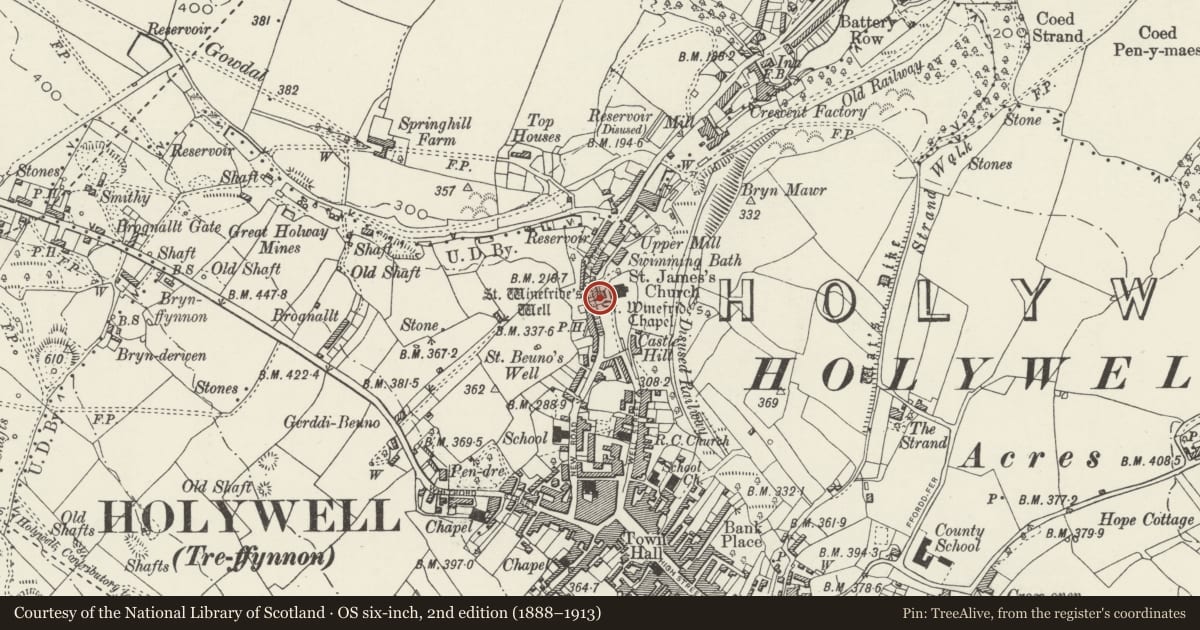Ordnance Survey six-inch map, 2nd edition (1888–1913) covering the location of St. Winifrides's Chapel & Well, Holywell, Flintshire, with a pin at the register's coordinates