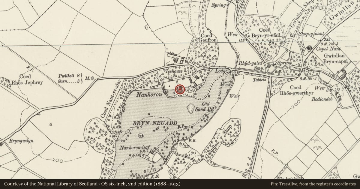 Ordnance Survey six-inch map, 2nd edition (1888–1913) covering the location of Nanhoron, Botwnnog, Gwynedd, with a pin at the register's coordinates