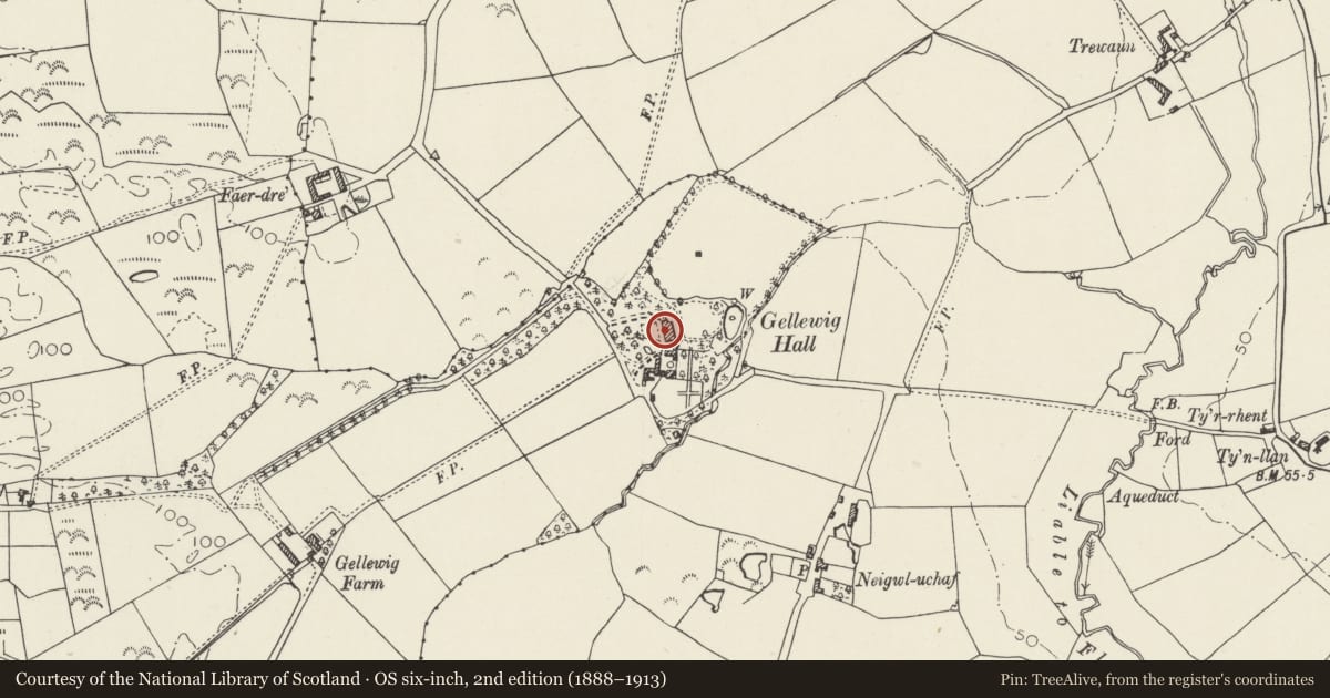 Ordnance Survey six-inch map, 2nd edition (1888–1913) covering the location of Plas Gelliwig, Botwnnog, Gwynedd, with a pin at the register's coordinates