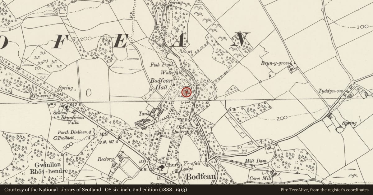 Ordnance Survey six-inch map, 2nd edition (1888–1913) covering the location of Plas Boduan, Buan, Gwynedd, with a pin at the register's coordinates