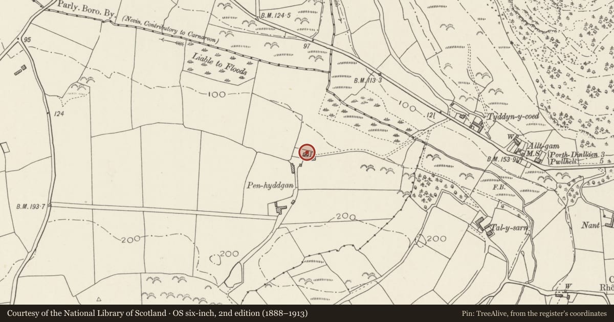 Ordnance Survey six-inch map, 2nd edition (1888–1913) covering the location of Penhyddgan, Buan, Gwynedd, with a pin at the register's coordinates