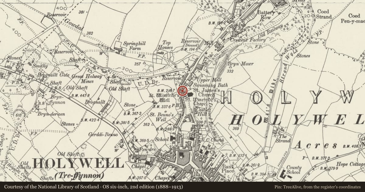 Ordnance Survey six-inch map, 2nd edition (1888–1913) covering the location of Gatehouse to St. Winefride's Chapel & Well, Holywell, Flintshire, with a pin at the register's coordinates
