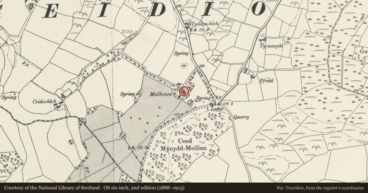 Ordnance Survey six-inch map, 2nd edition (1888–1913) covering the location of Meillionen Farmhouse, Buan, Gwynedd, with a pin at the register's coordinates