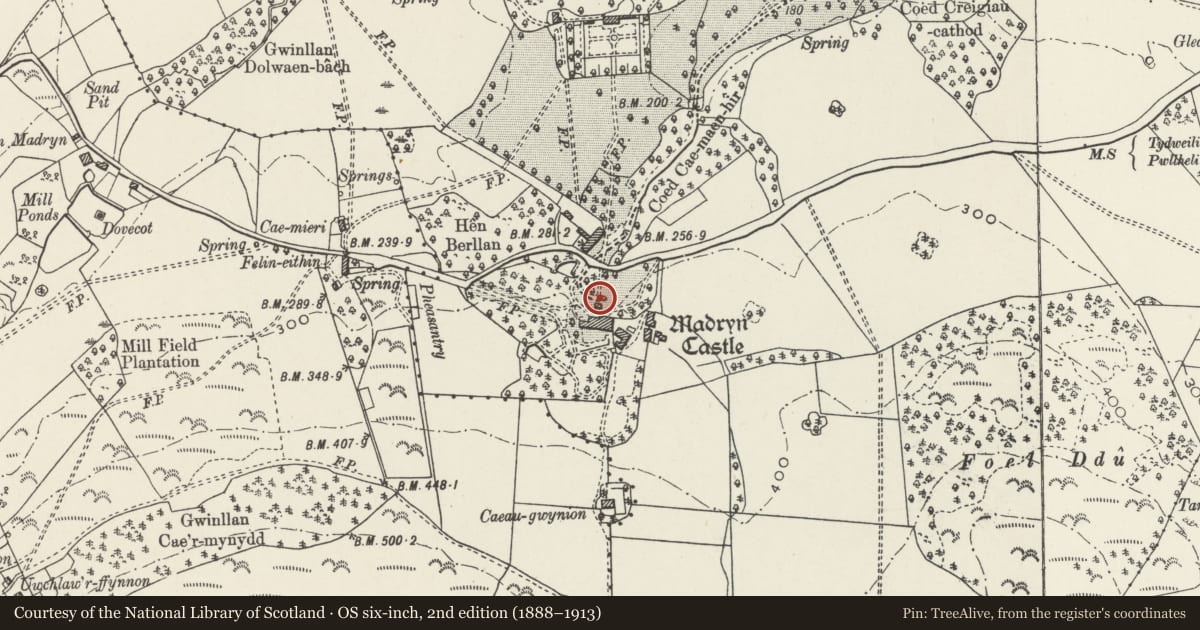 Ordnance Survey six-inch map, 2nd edition (1888–1913) covering the location of Madryn Castle Gatehouse, Buan, Gwynedd, with a pin at the register's coordinates