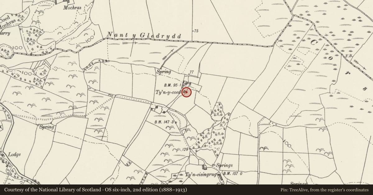 Ordnance Survey six-inch map, 2nd edition (1888–1913) covering the location of Tyn-y-coed Isaf, Buan, Gwynedd, with a pin at the register's coordinates