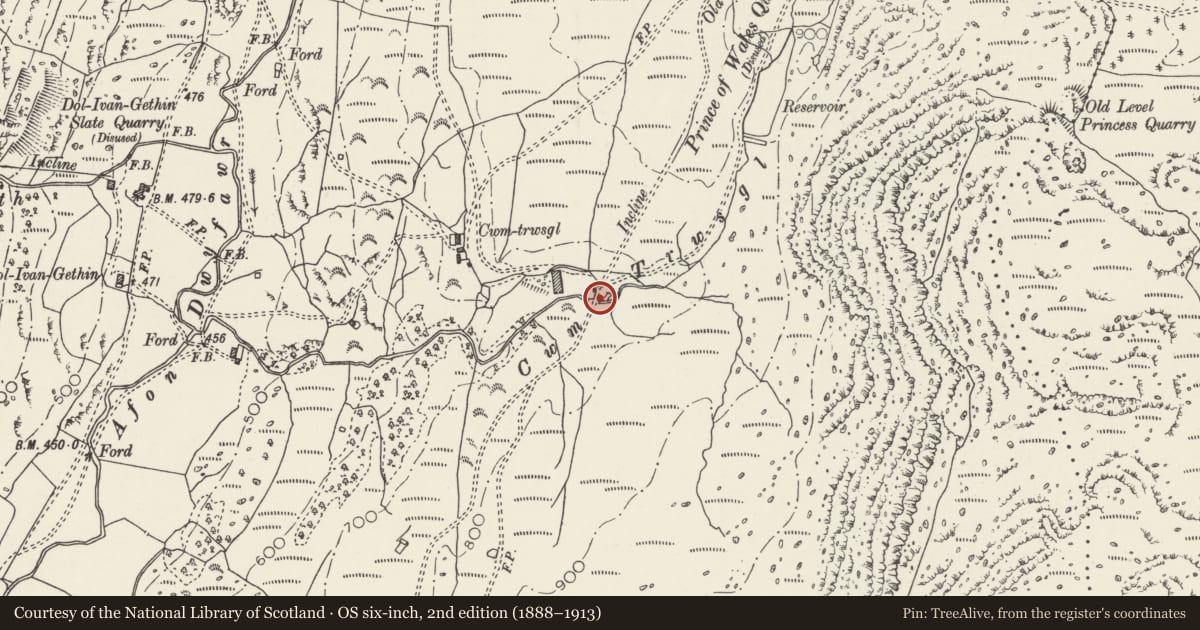 Ordnance Survey six-inch map, 2nd edition (1888–1913) covering the location of Bridge across the Afon Trwsgl with the adjoining tramway bridge, Dolbenmaen, Gwynedd, with a pin at the register's coordinates