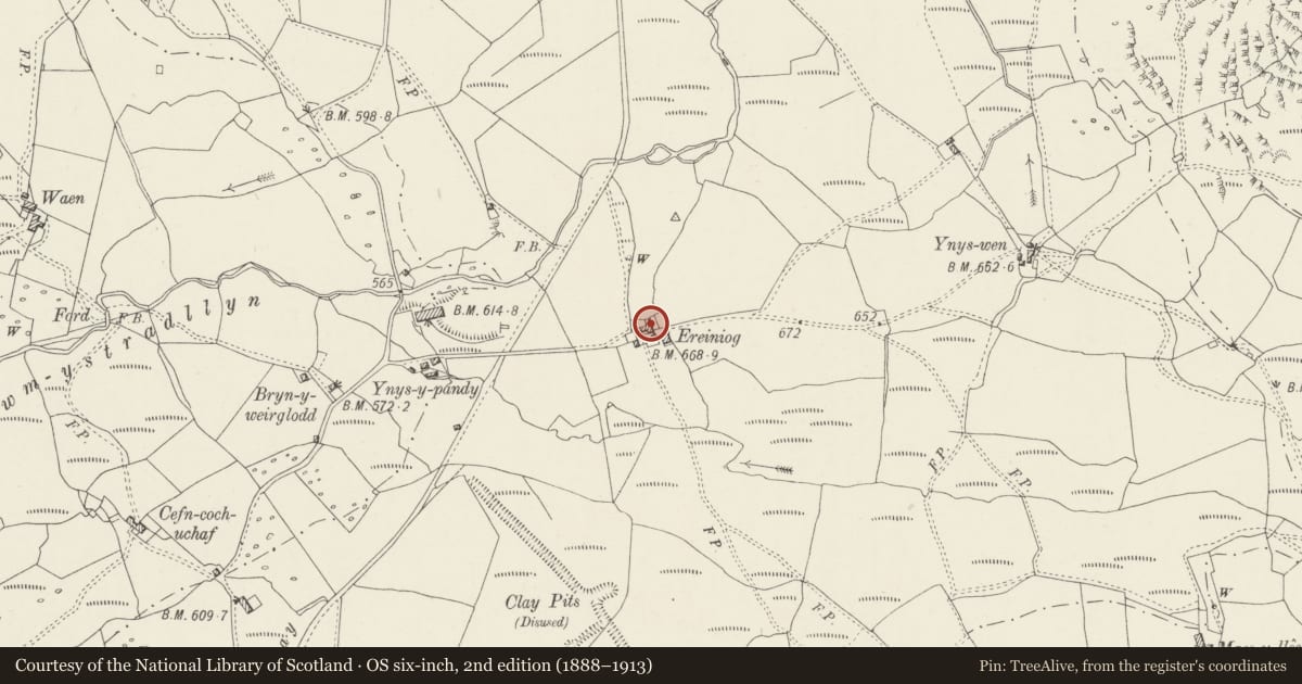 Ordnance Survey six-inch map, 2nd edition (1888–1913) covering the location of Ereiniog, Dolbenmaen, Gwynedd, with a pin at the register's coordinates
