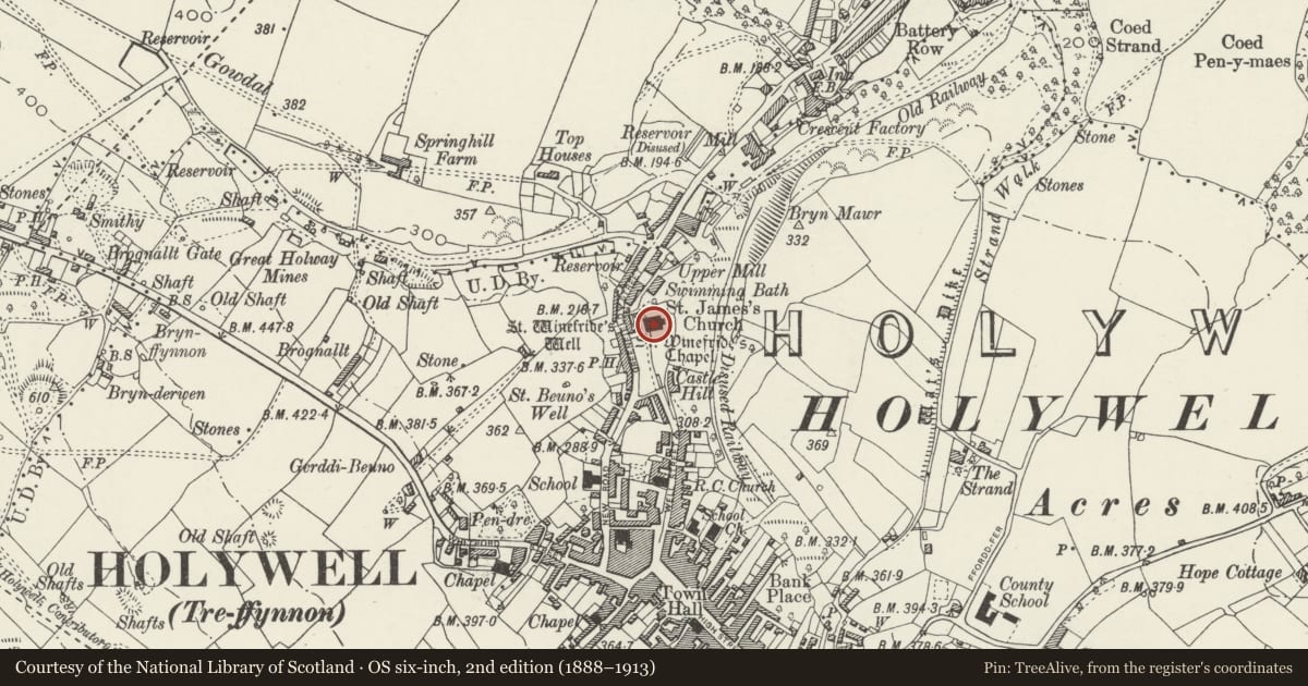 Ordnance Survey six-inch map, 2nd edition (1888–1913) covering the location of Parish Church of St. James, Holywell, Flintshire, with a pin at the register's coordinates