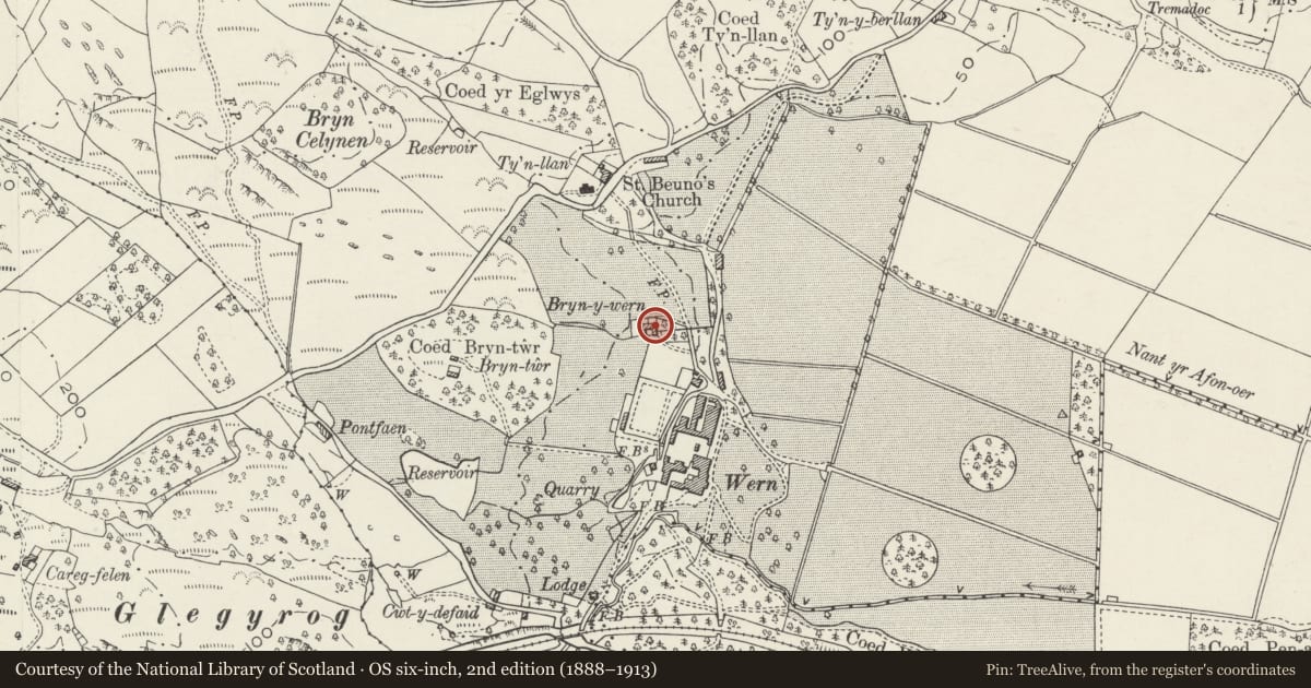 Ordnance Survey six-inch map, 2nd edition (1888–1913) covering the location of Bryn-y-wern, Dolbenmaen, Gwynedd, with a pin at the register's coordinates