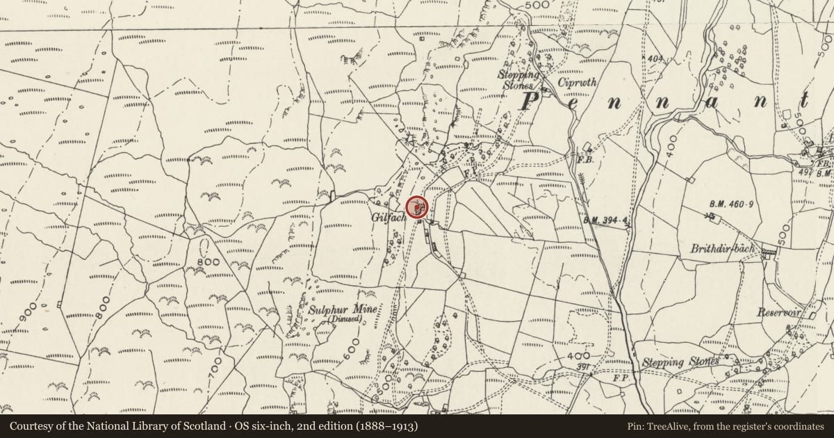 Ordnance Survey six-inch map, 2nd edition (1888–1913) covering the location of Gilfach, Dolbenmaen, Gwynedd, with a pin at the register's coordinates