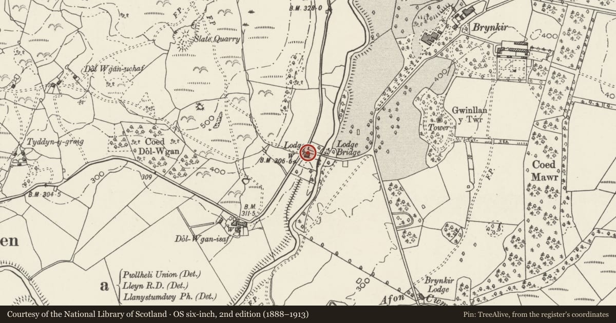 Ordnance Survey six-inch map, 2nd edition (1888–1913) covering the location of Lodge, formerly for Brynkir, Dolbenmaen, Gwynedd, with a pin at the register's coordinates