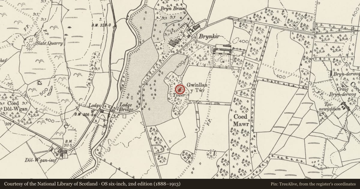 Ordnance Survey six-inch map, 2nd edition (1888–1913) covering the location of Twr Gwynllan, Dolbenmaen, Gwynedd, with a pin at the register's coordinates