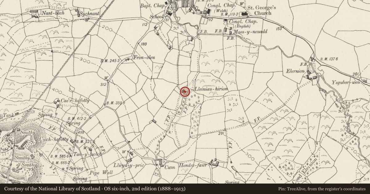 Ordnance Survey six-inch map, 2nd edition (1888–1913) covering the location of Lleiniau-hirion, Llanaelhaearn, Gwynedd, with a pin at the register's coordinates