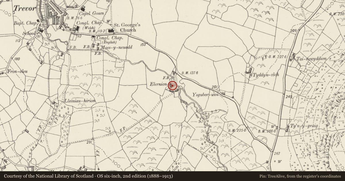 Ordnance Survey six-inch map, 2nd edition (1888–1913) covering the location of Elernion, Llanaelhaearn, Gwynedd, with a pin at the register's coordinates