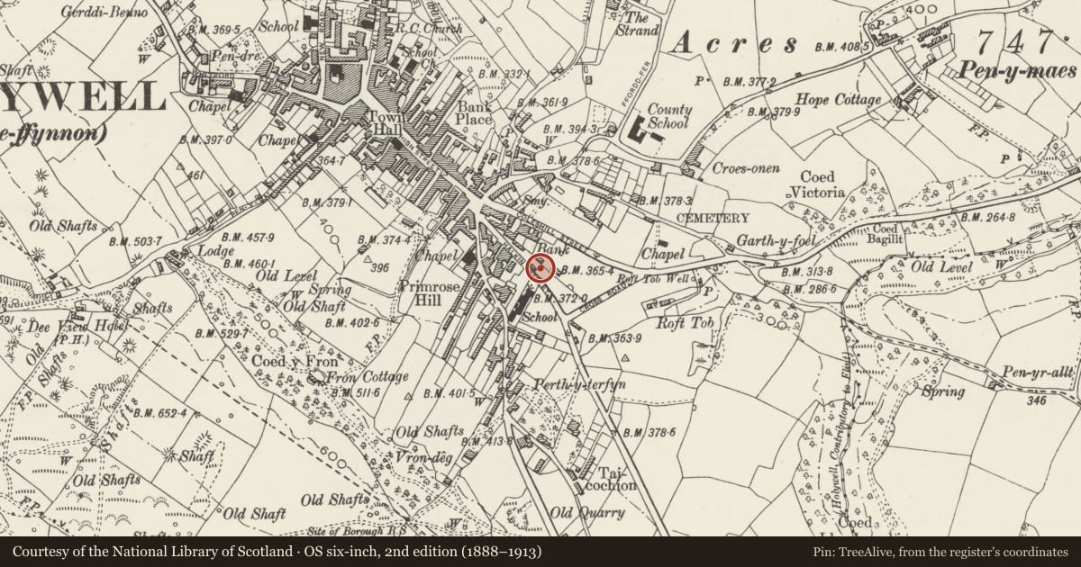 Ordnance Survey six-inch map, 2nd edition (1888–1913) covering the location of 9, Holywell, Flintshire, with a pin at the register's coordinates