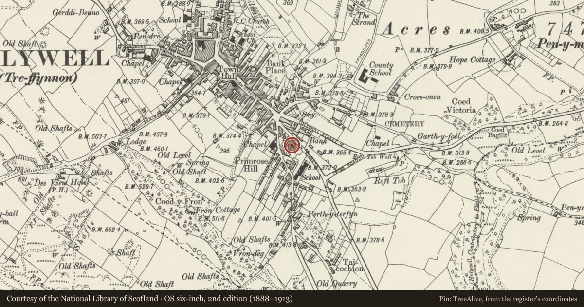 Ordnance Survey six-inch map, 2nd edition (1888–1913) covering the location of Holywell County Court, Flintshire, with a pin at the register's coordinates